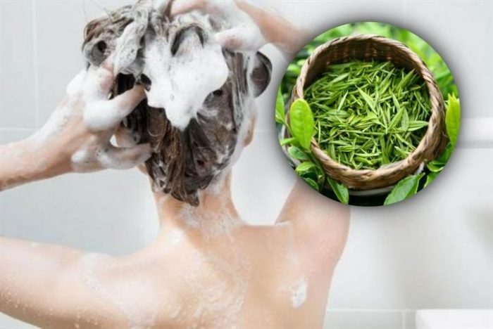 Trị gàu và ngăn nấm da đầu