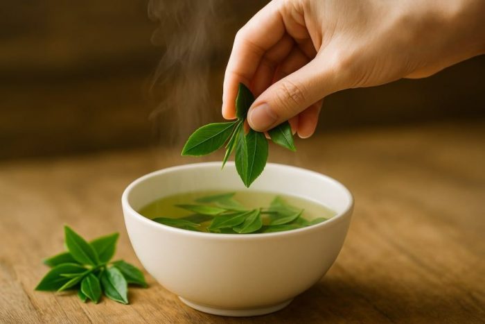 Thành phần dinh dưỡng có trong trà xanh giúp nuôi dưỡng tóc