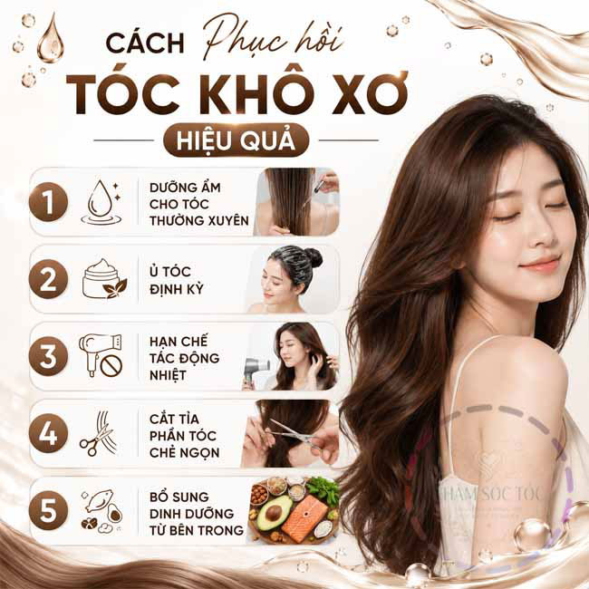 Cách phục hồi tóc khô xơ hiệu quả