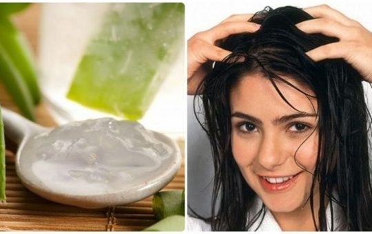 Nha đam (lô hội)