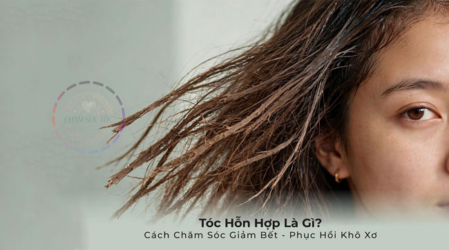 Toc-Hon-Hop-La-Gi-Cach-Cham-Soc-Toc-Hon-Hop-Giam-Bet-Phuc-Hoi-Kho-Xo