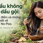 Gội đầu không dùng dầu gội: Ưu nhược điểm và những điều cần biết về xu hướng No-Poo