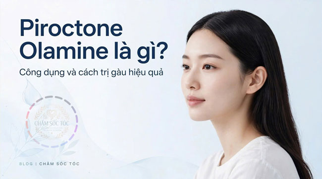 piroctone-olamine-la-gi-cong-dung-do-an-toan-va-cach-tri-gau-hieu-qua
